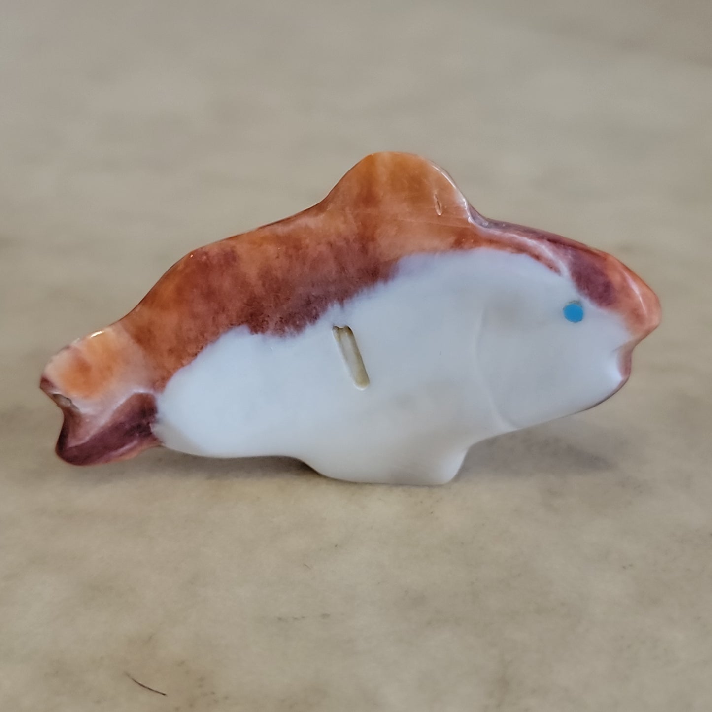 Orange Spiny Oyster Shell Fish Zuni Fetish