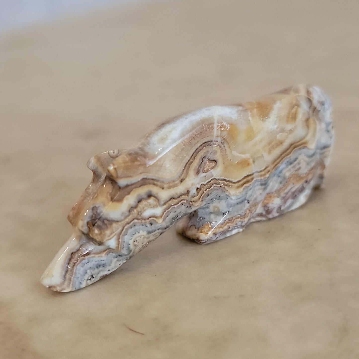 Kenny Chavez Zuni Fetish Onyx Wolf