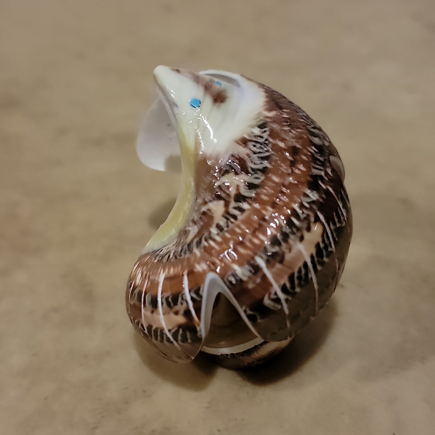 Snail Shell  Zuni Fetish Eagle