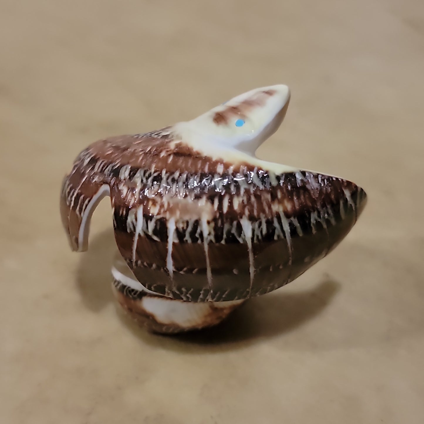Snail Shell  Zuni Fetish Eagle