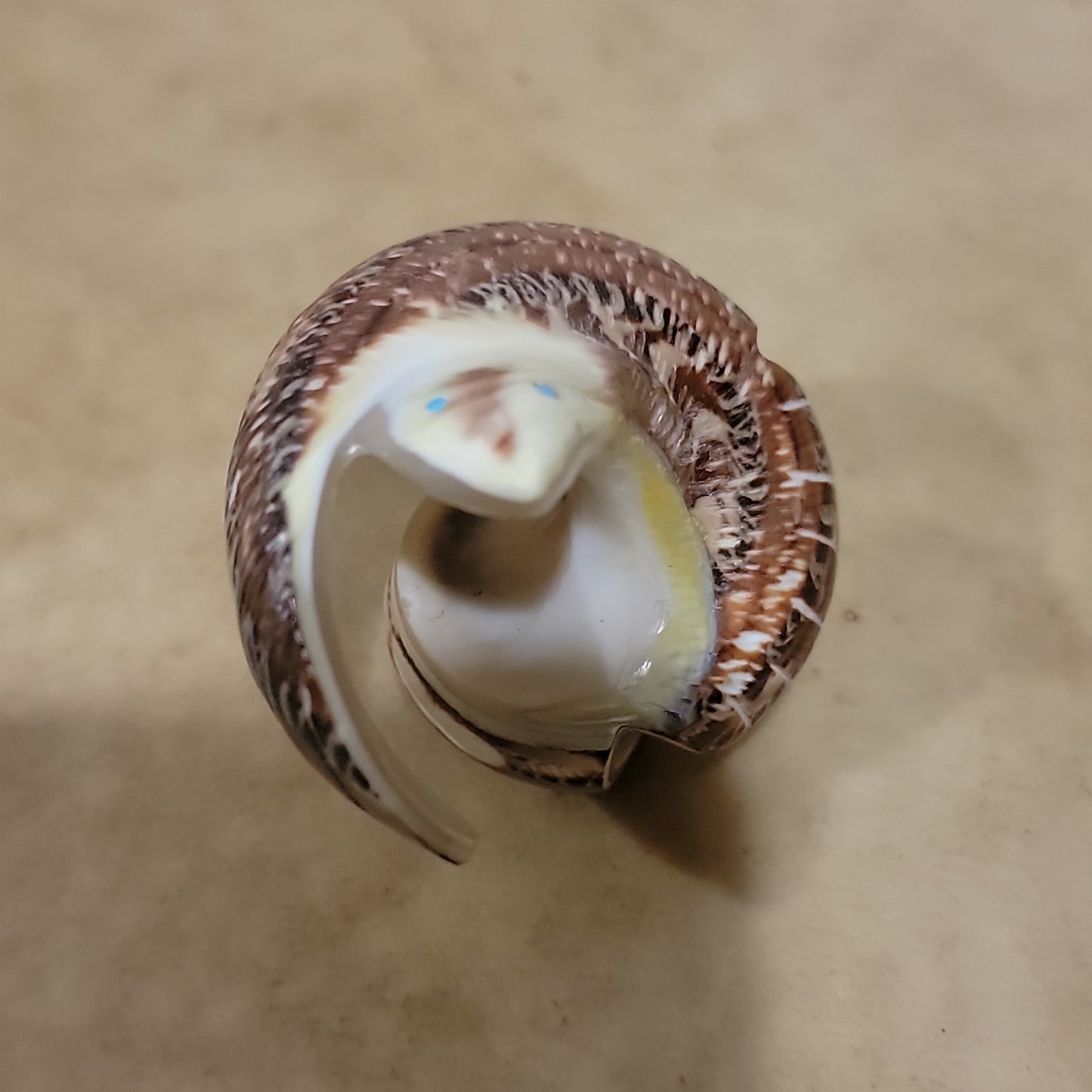 Snail Shell  Zuni Fetish Eagle