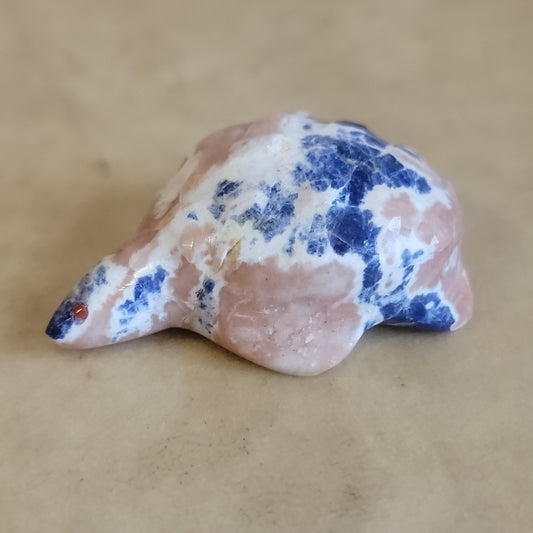 Daphne Quam Sodalite  Mole Zuni Fetish