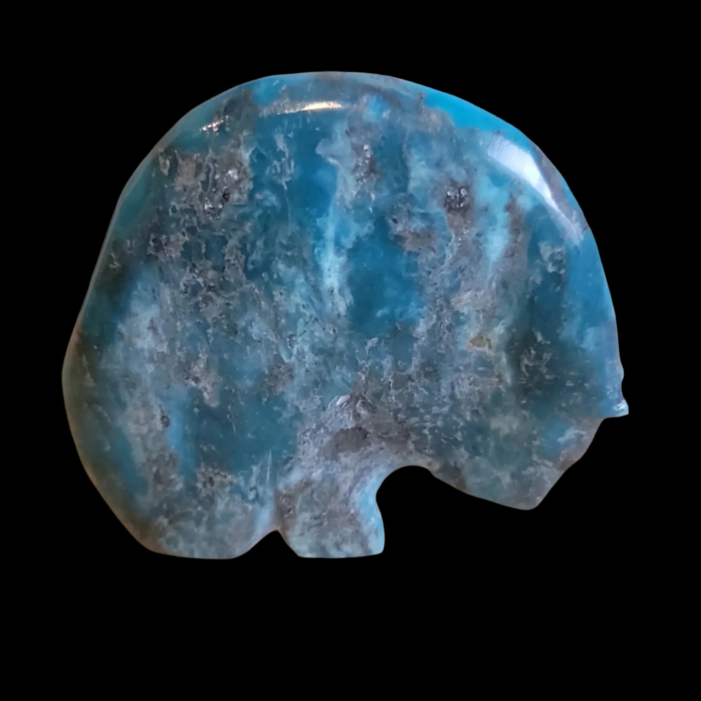 Stewart Quandelacy Chrysocolla Medicine Bear Zuni Fetish