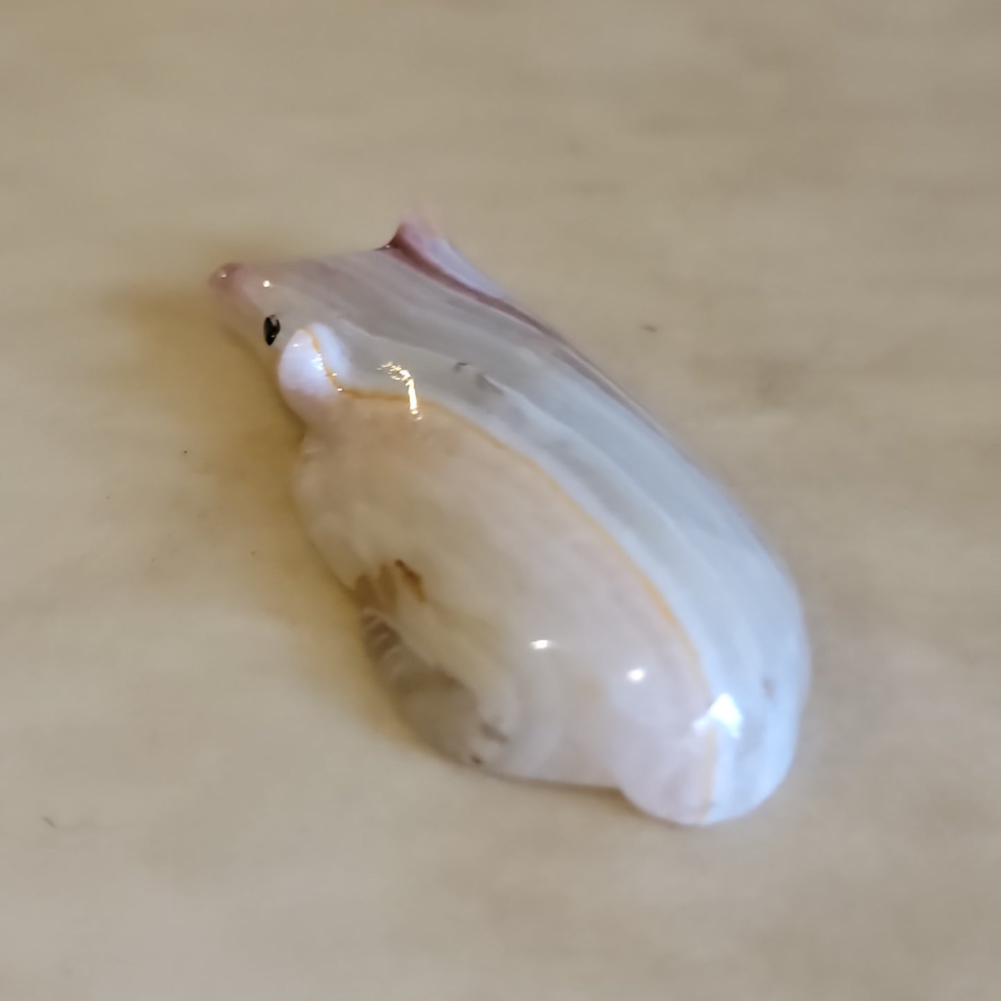 Onyx Badger Zuni Fetish