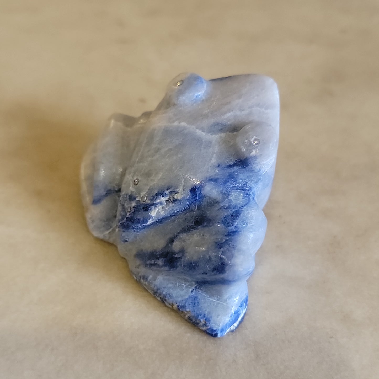Kenny Chavez Abundance Filled Sodalite Frog Zuni Fetish