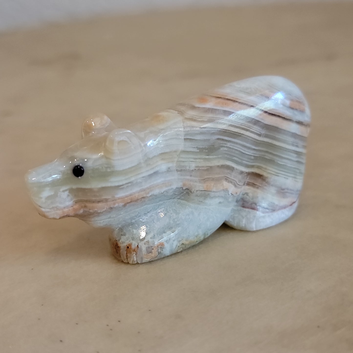 Elegant Onyx Bear Cub Zuni Fetish
