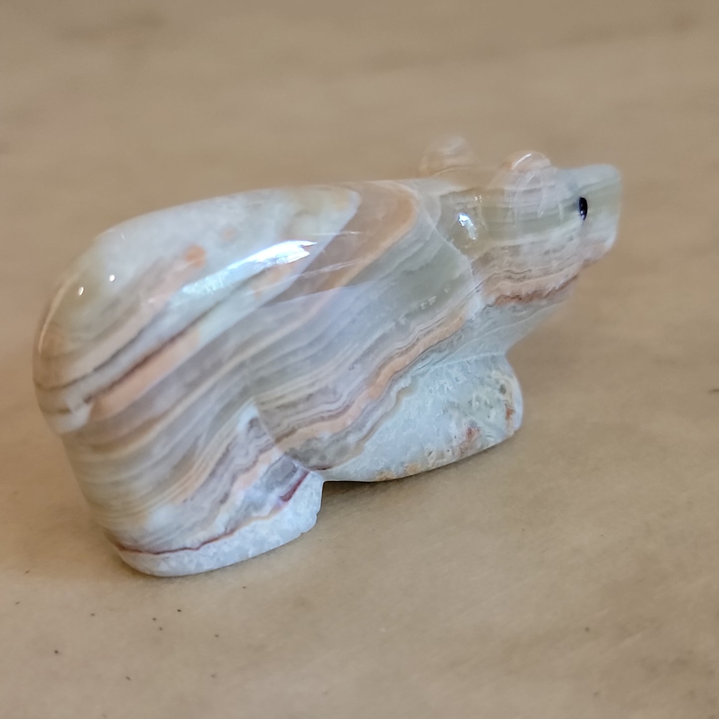 Elegant Onyx Bear Cub Zuni Fetish