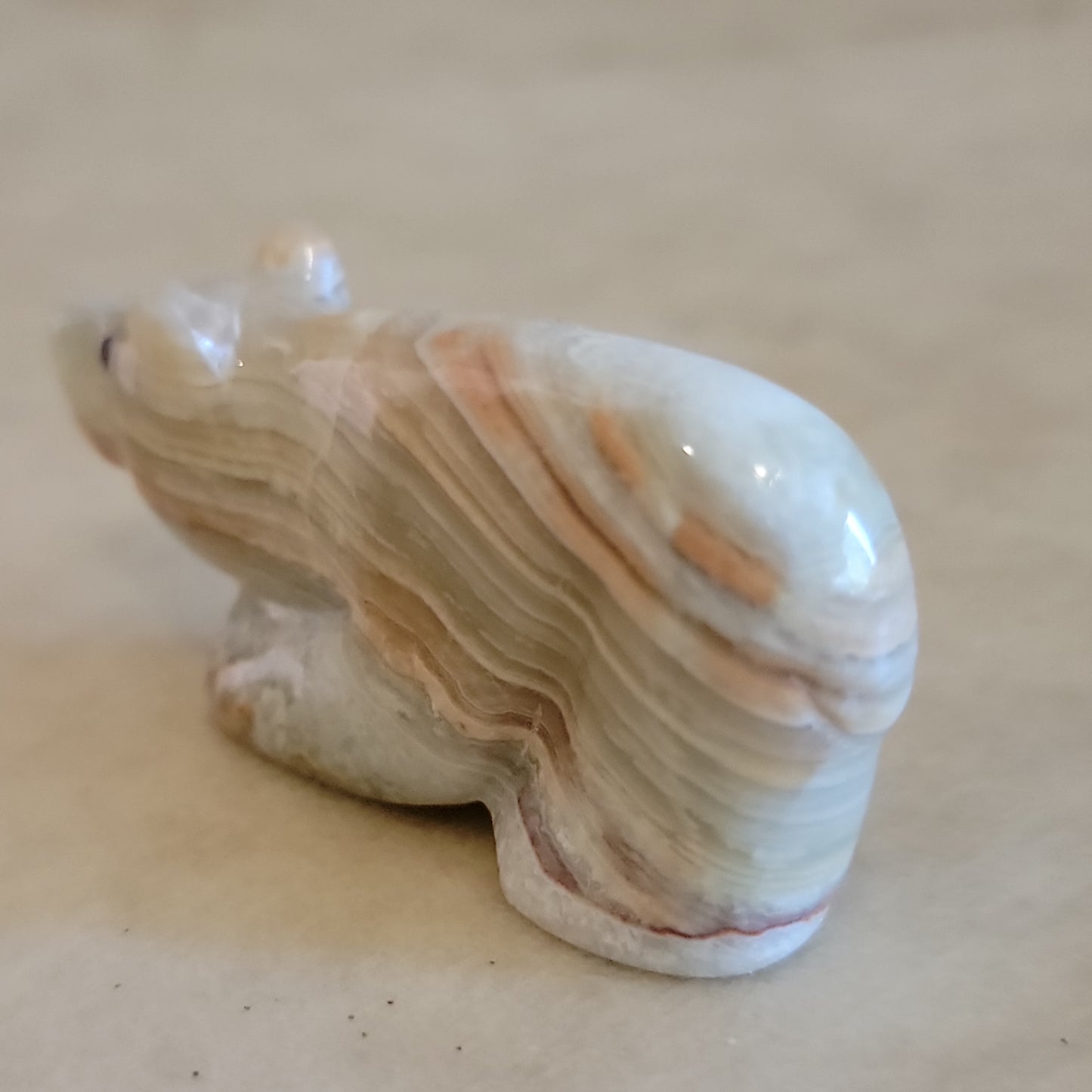 Elegant Onyx Bear Cub Zuni Fetish