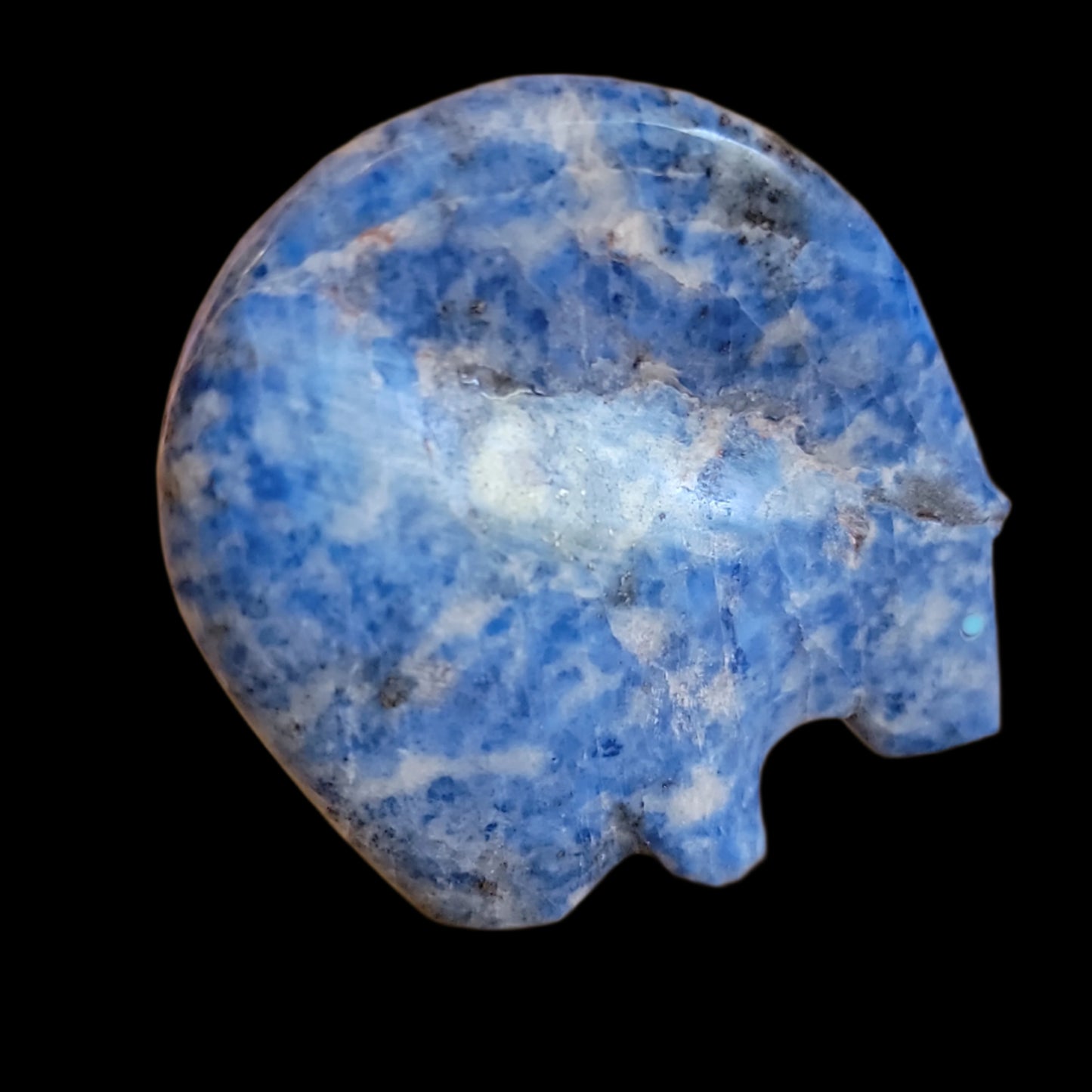 Denim Lapis Medicine Bear Zuni Fetish