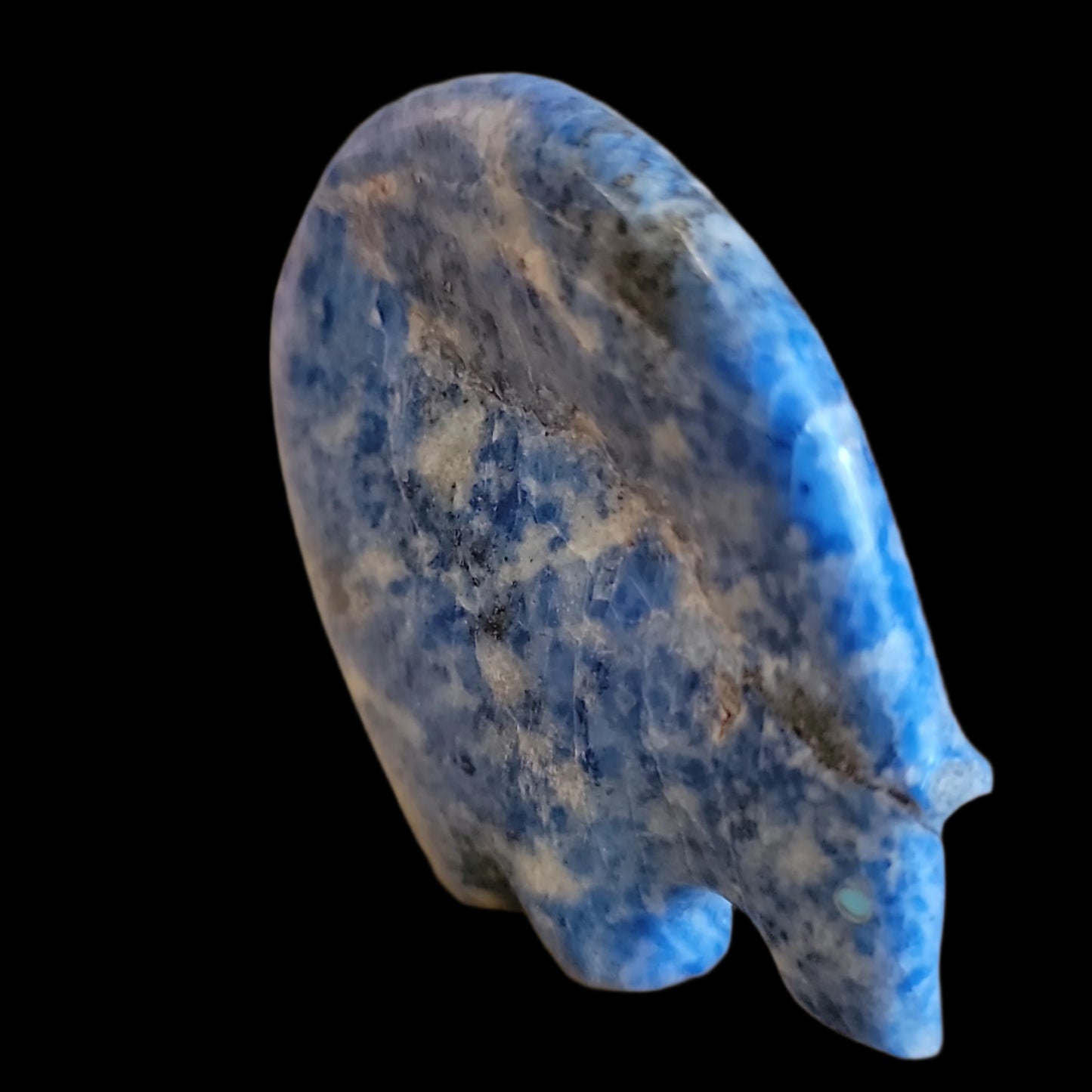 Denim Lapis Medicine Bear Zuni Fetish