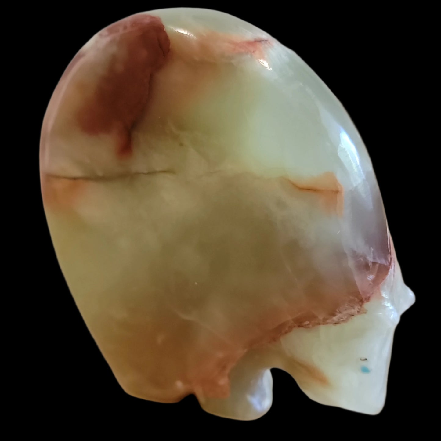 Elegant Large Onyx Medicine Bear Zuni Fetish