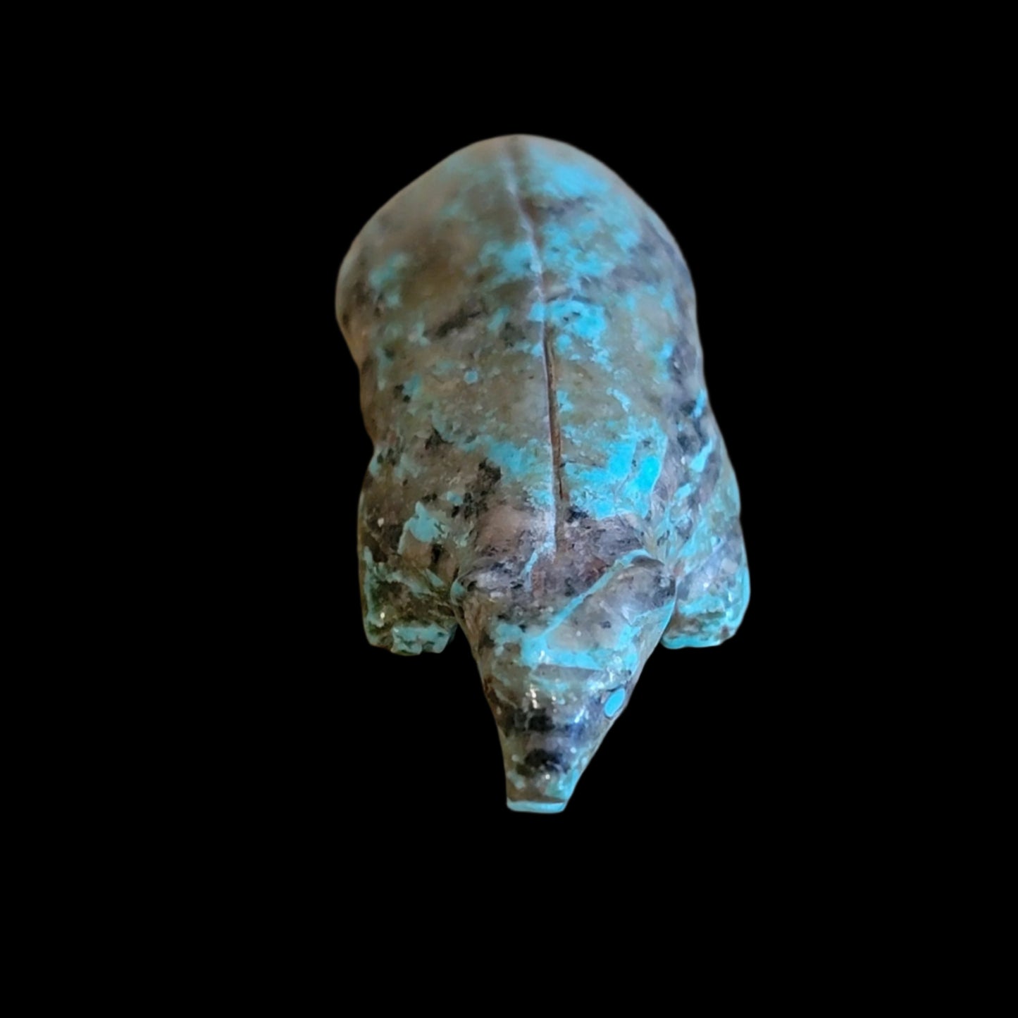 Lone Mountain Turquoise Zuni Fetish Badger