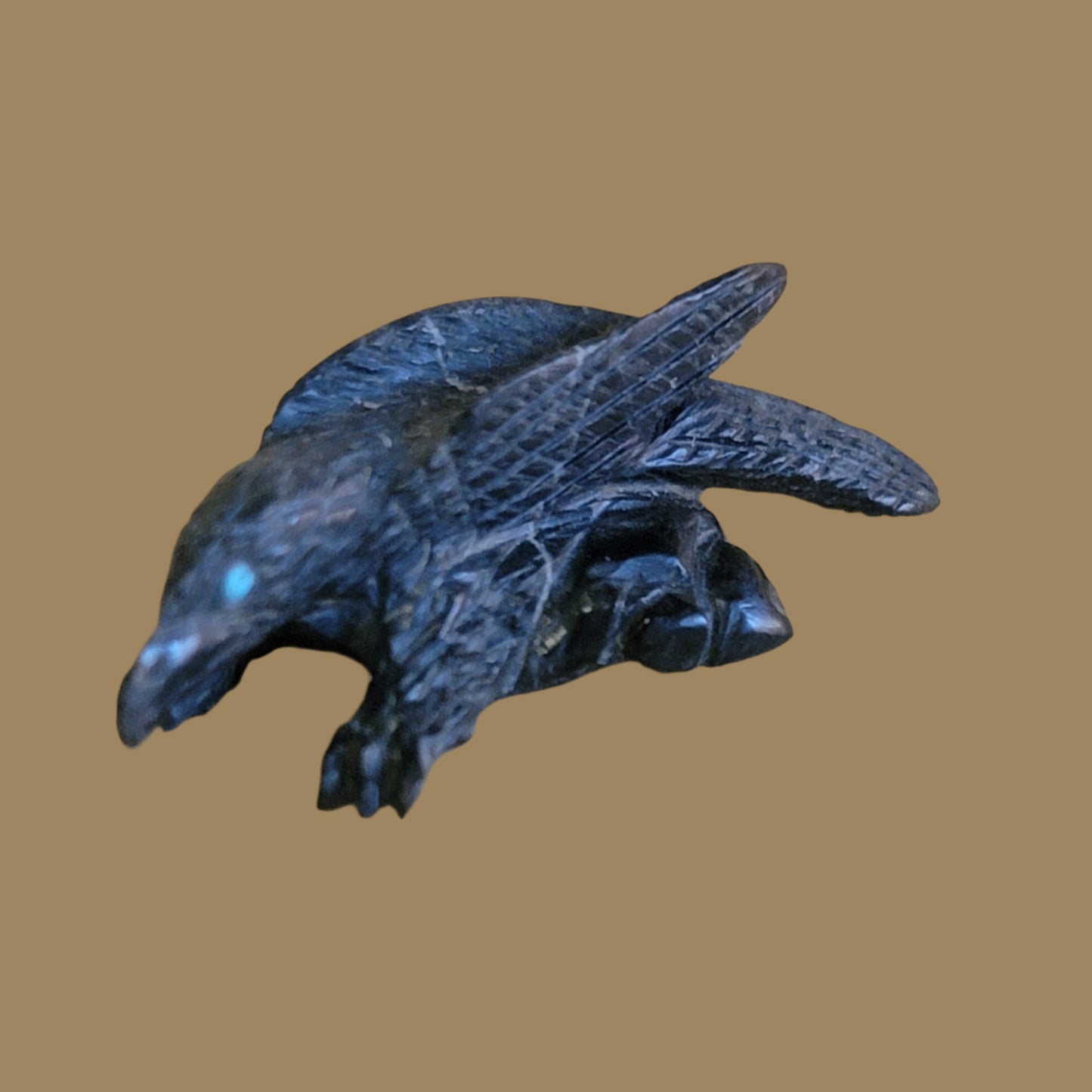 Landing on a Rock Ledge Black Marble Raven Zuni Fetish