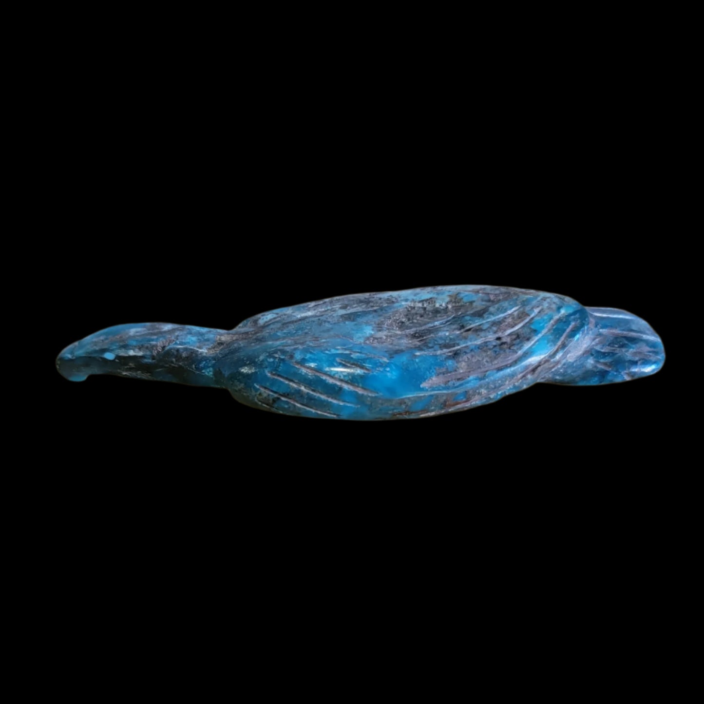 Elegant Chrysocolla Eagle/ Messenger to the Divine Zuni Fetish