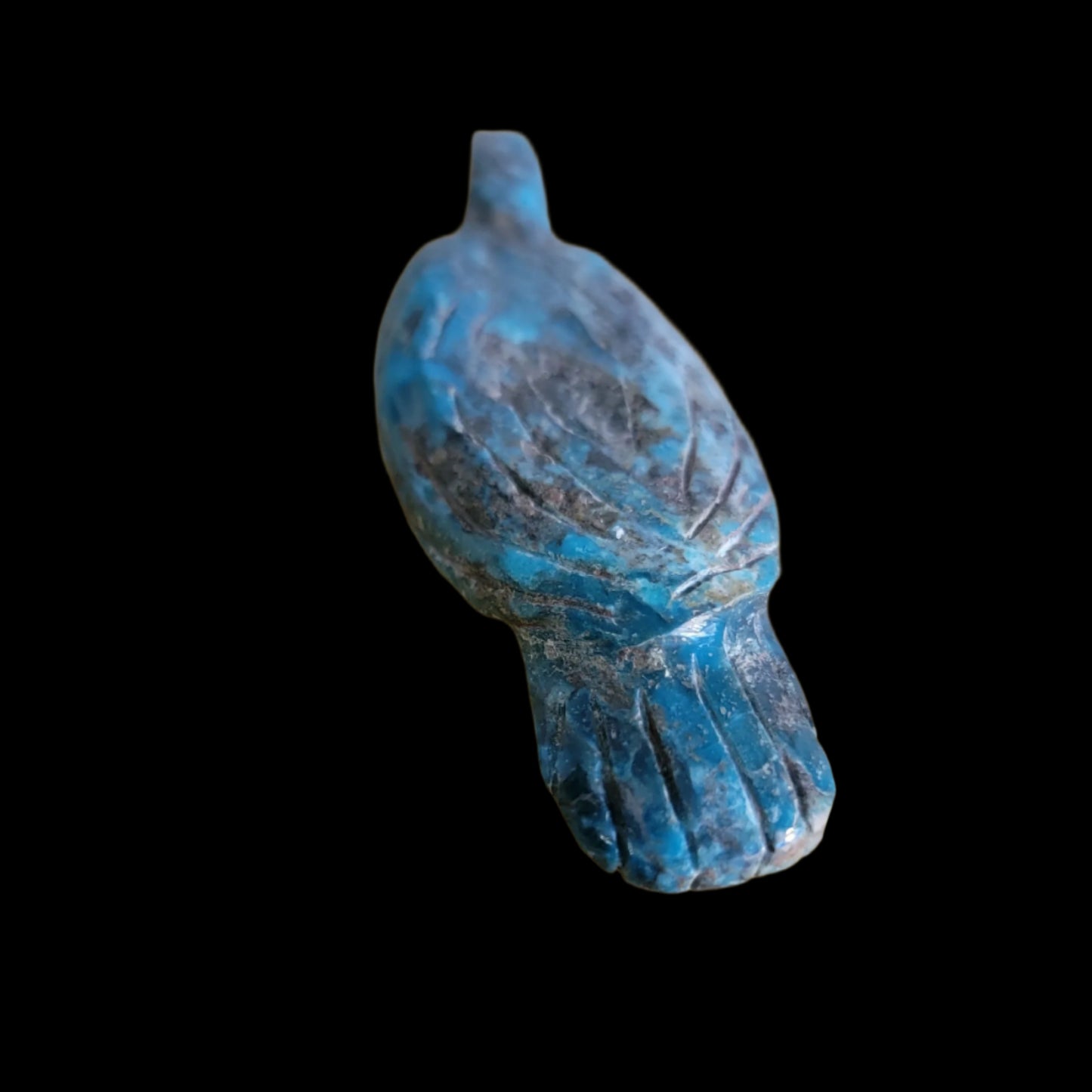 Elegant Chrysocolla Eagle/ Messenger to the Divine Zuni Fetish