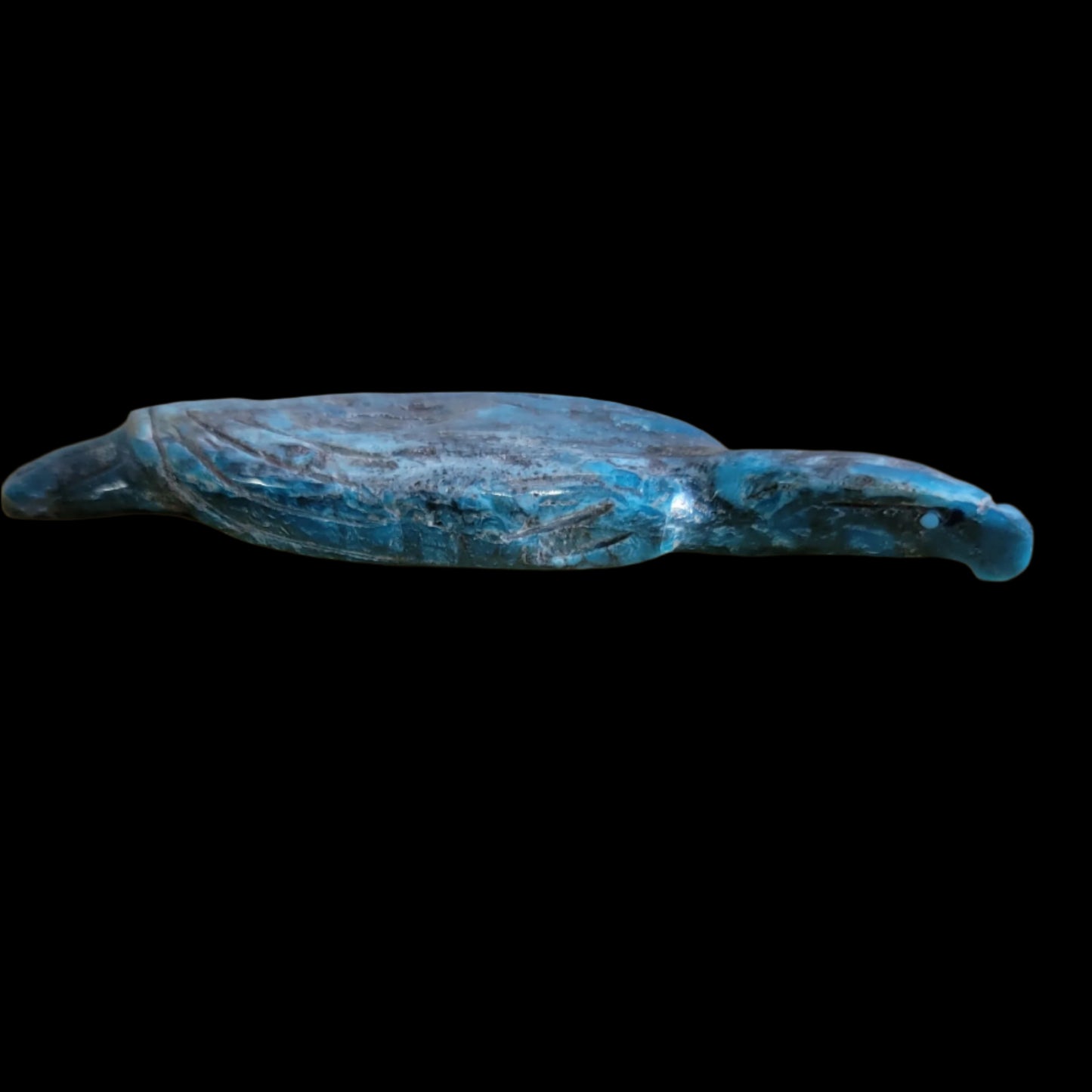 Elegant Chrysocolla Eagle/ Messenger to the Divine Zuni Fetish