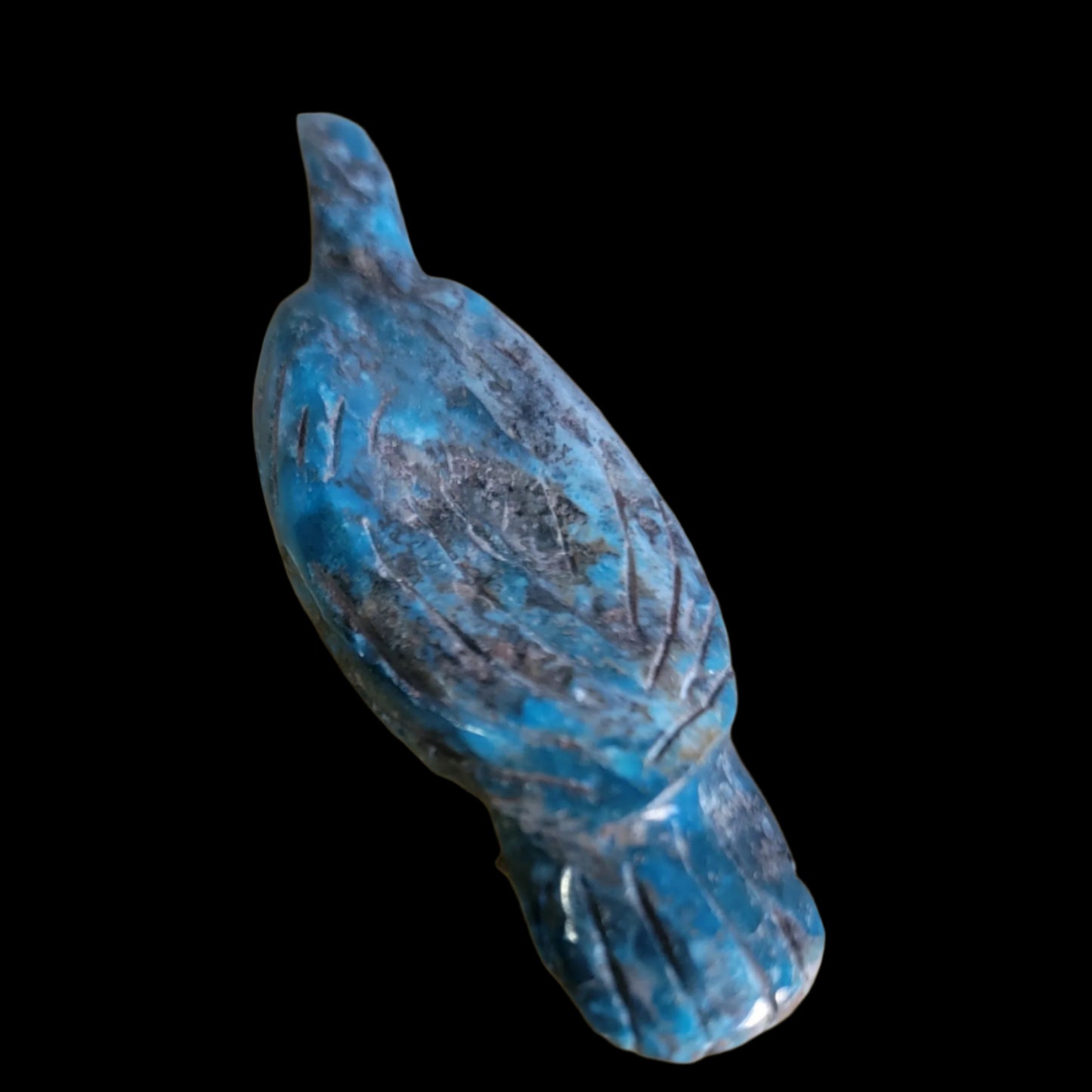 Elegant Chrysocolla Eagle/ Messenger to the Divine Zuni Fetish