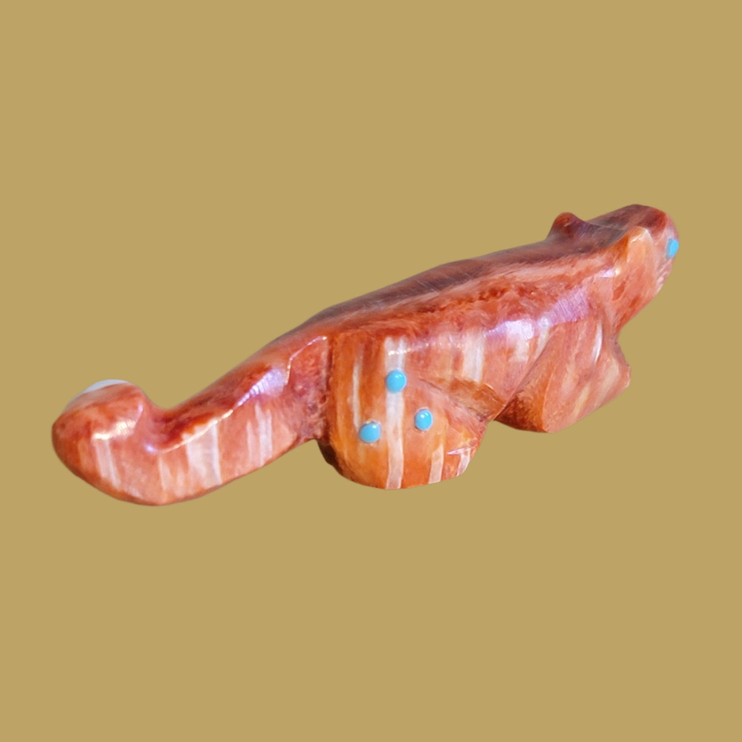 Brilliant Orange Spiny Oyster Shell Mountain Lion Zuni Fetish