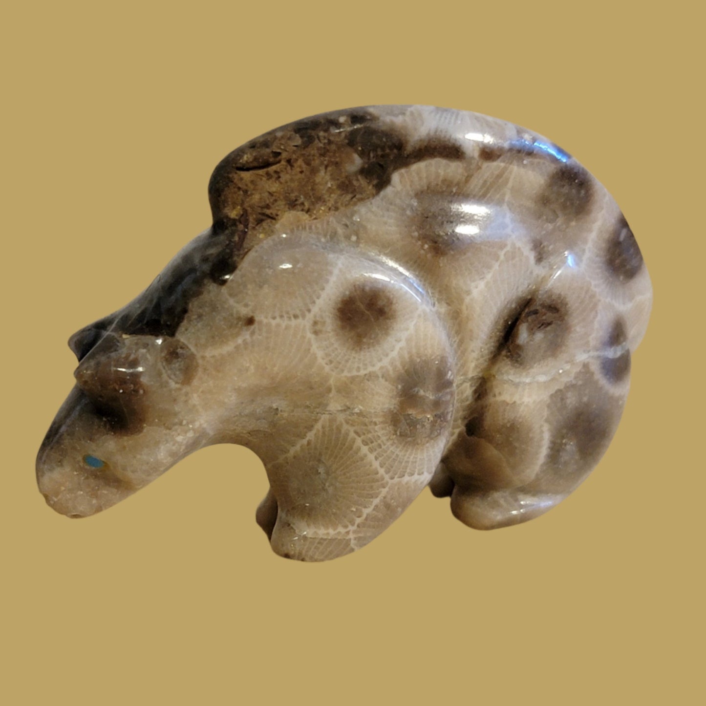 Petoskey Zuni Fetish Mountain Lion