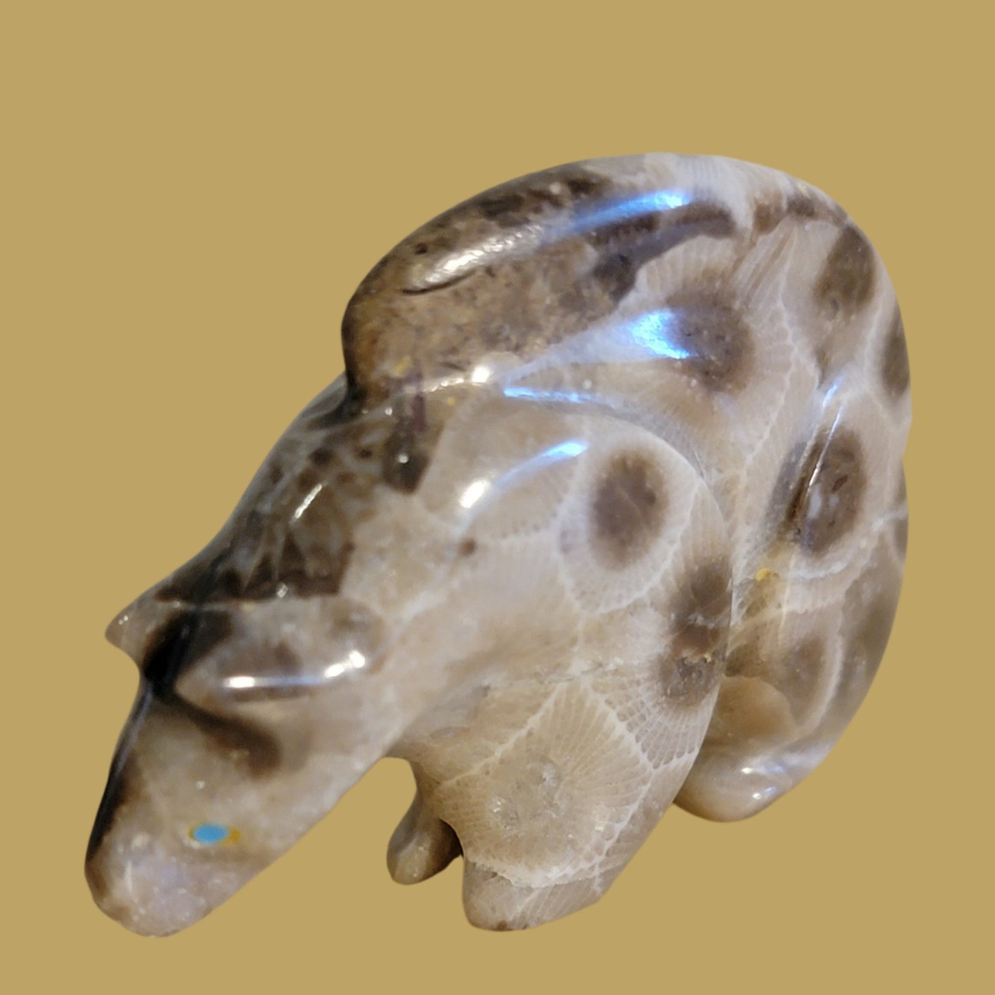 Petoskey Zuni Fetish Mountain Lion