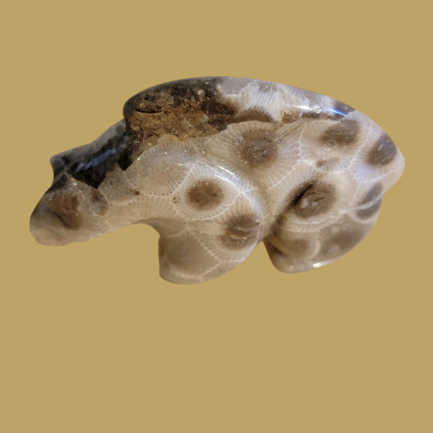 Petoskey Zuni Fetish Mountain Lion
