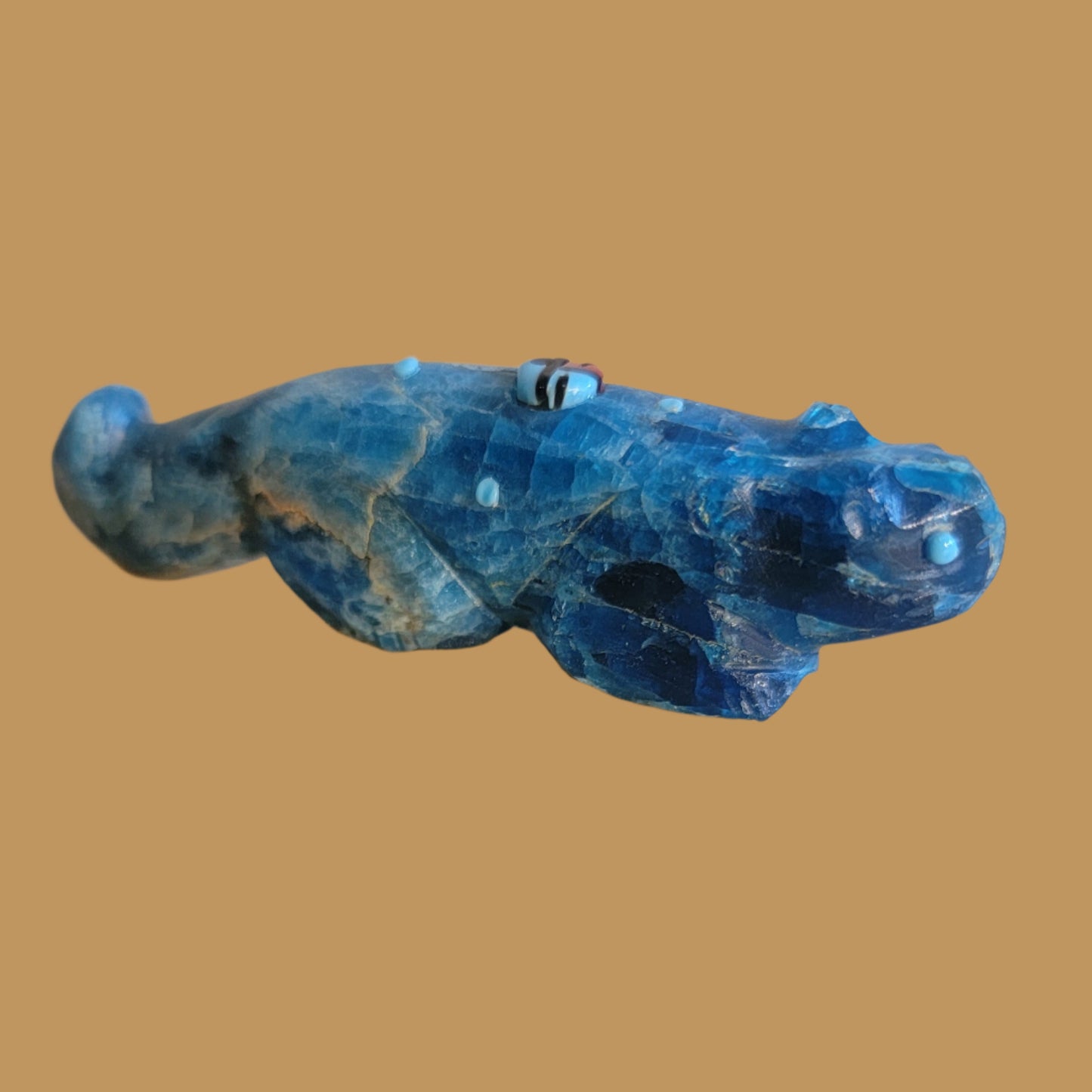 Blue Optical Mountain Lion w/Zuni Sun Zuni Fetish