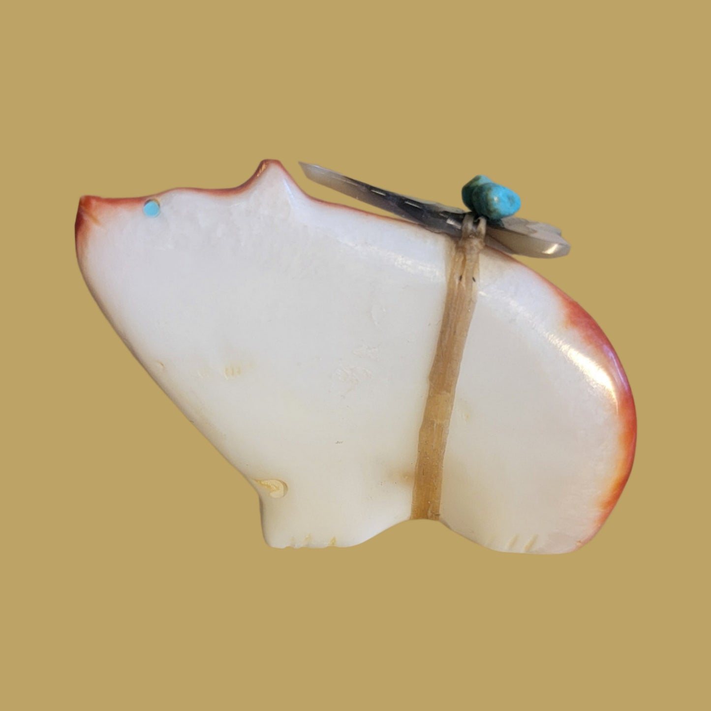 Spiny Oyster Shell Bear w/Pack Zuni Fetish