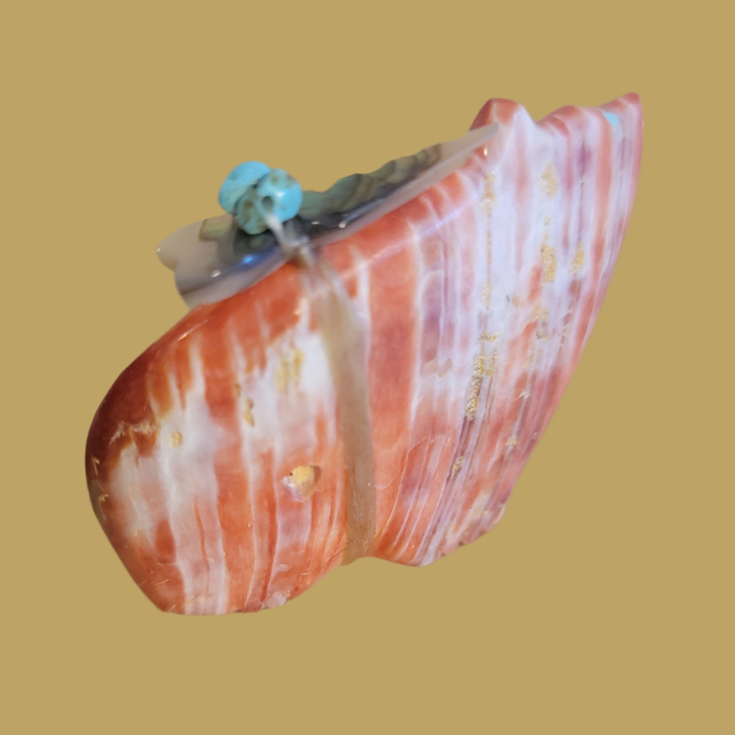 Spiny Oyster Shell Bear w/Pack Zuni Fetish