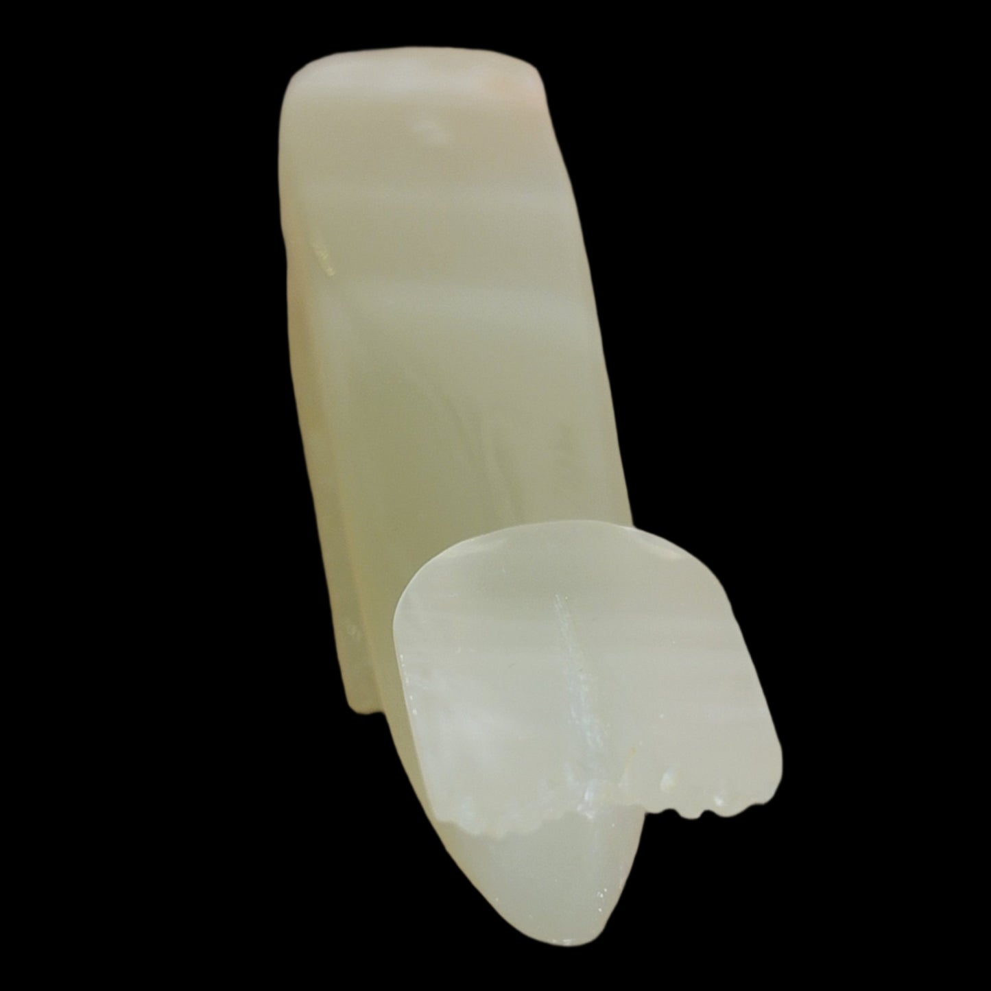 Onyx Whale Zuni Fetish