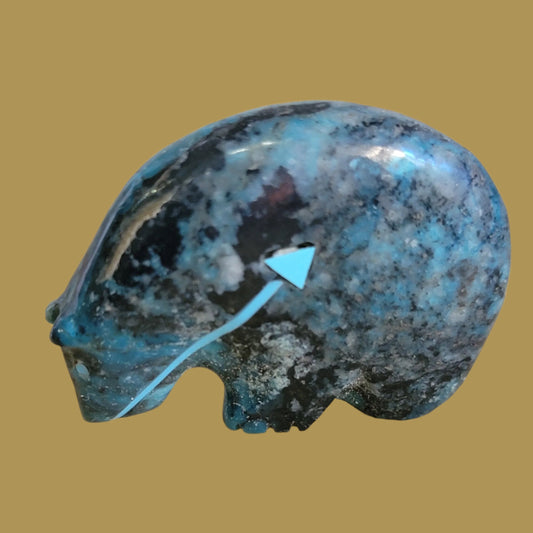 Chrysocolla Medicine Bear Zuni Fetish