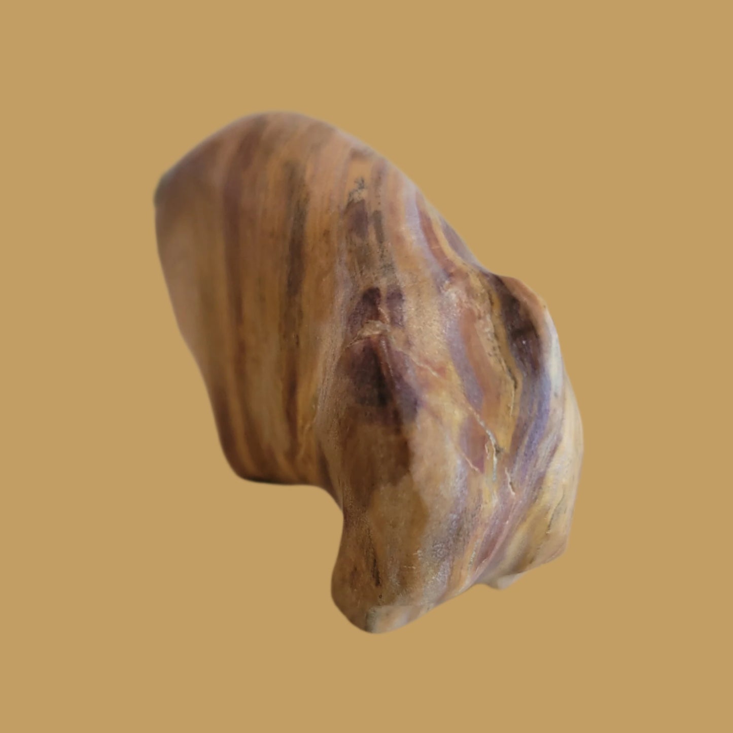 Onyx Bison/Buffalo Zuni Fetish