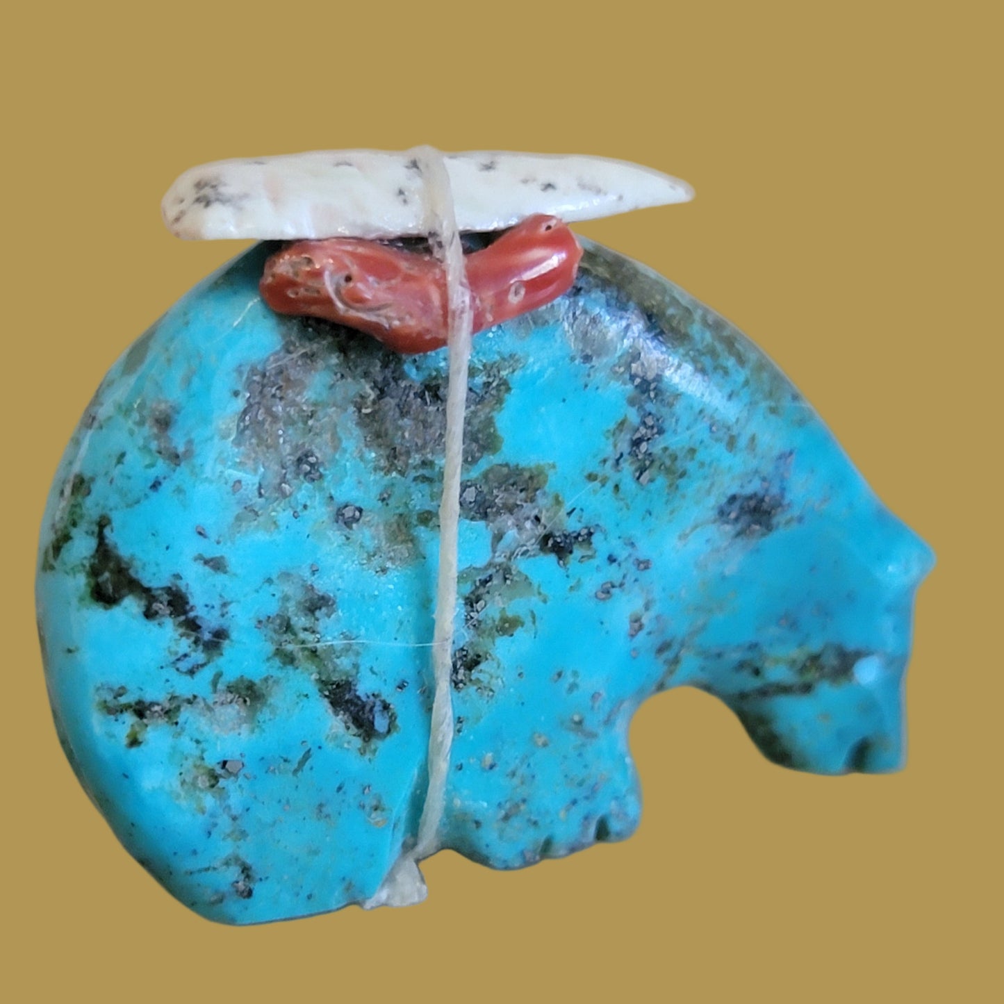 Turquoise Medicine Bear w/Pack Zuni Fetish