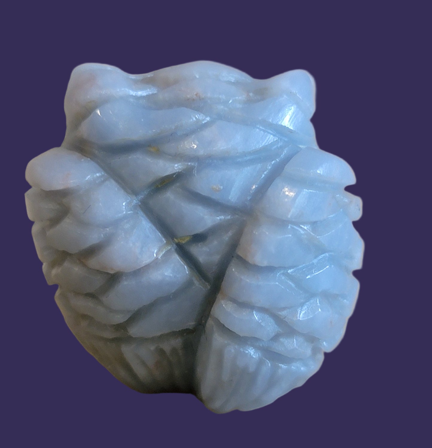 Fluorite Owl Rules the Night Skies/ "Sees What Others Cannot See" Zuni Fetish