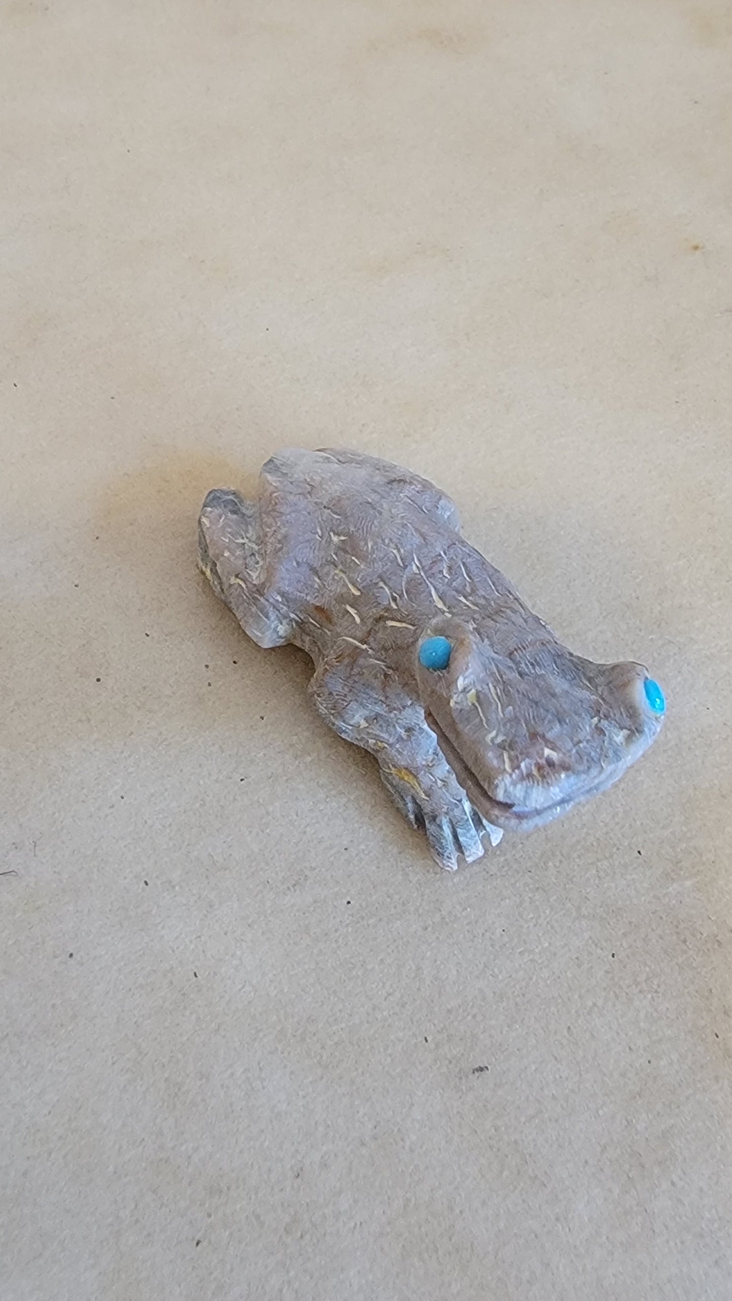 Eye of Toad is Turquoise! Zuni Fetish