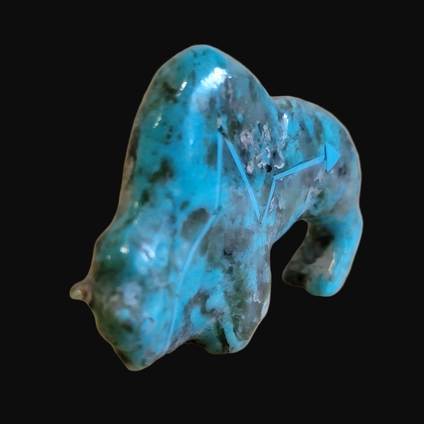 Elegant Turquoise Bison/Buffalo w/ Heartline Zuni Fetish