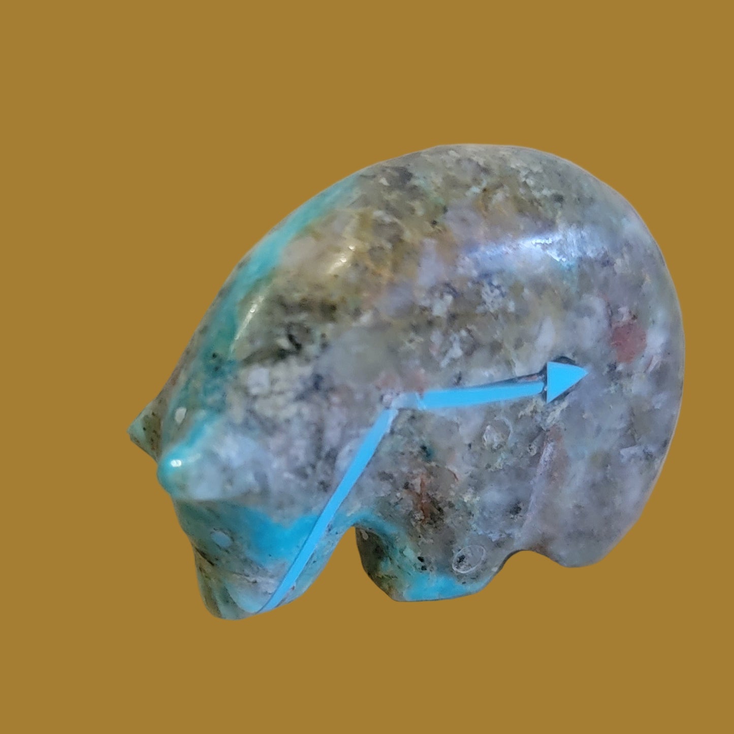 Turquoise Medicine Bear Zuni Fetish