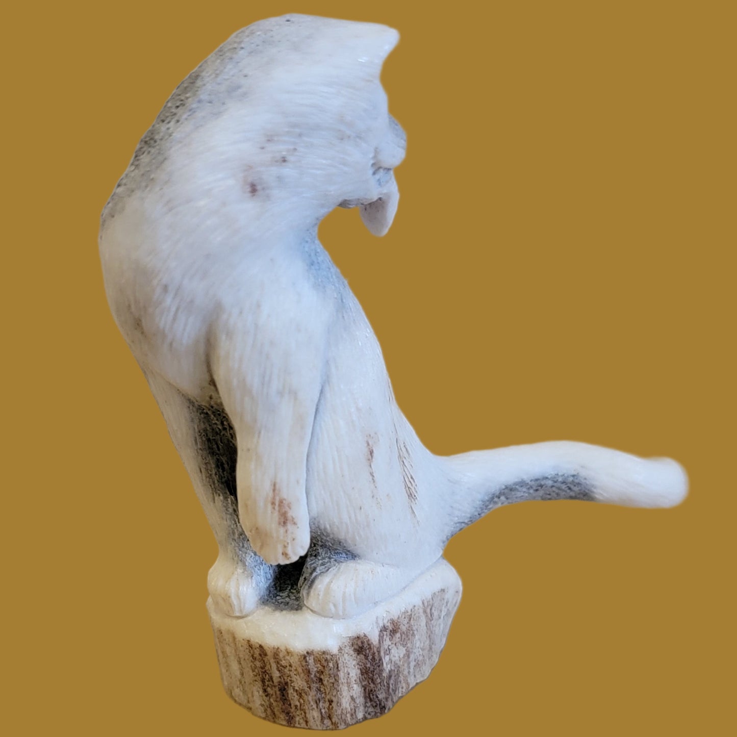 Maxx Laate's Iconic Cougar Zuni Fetish