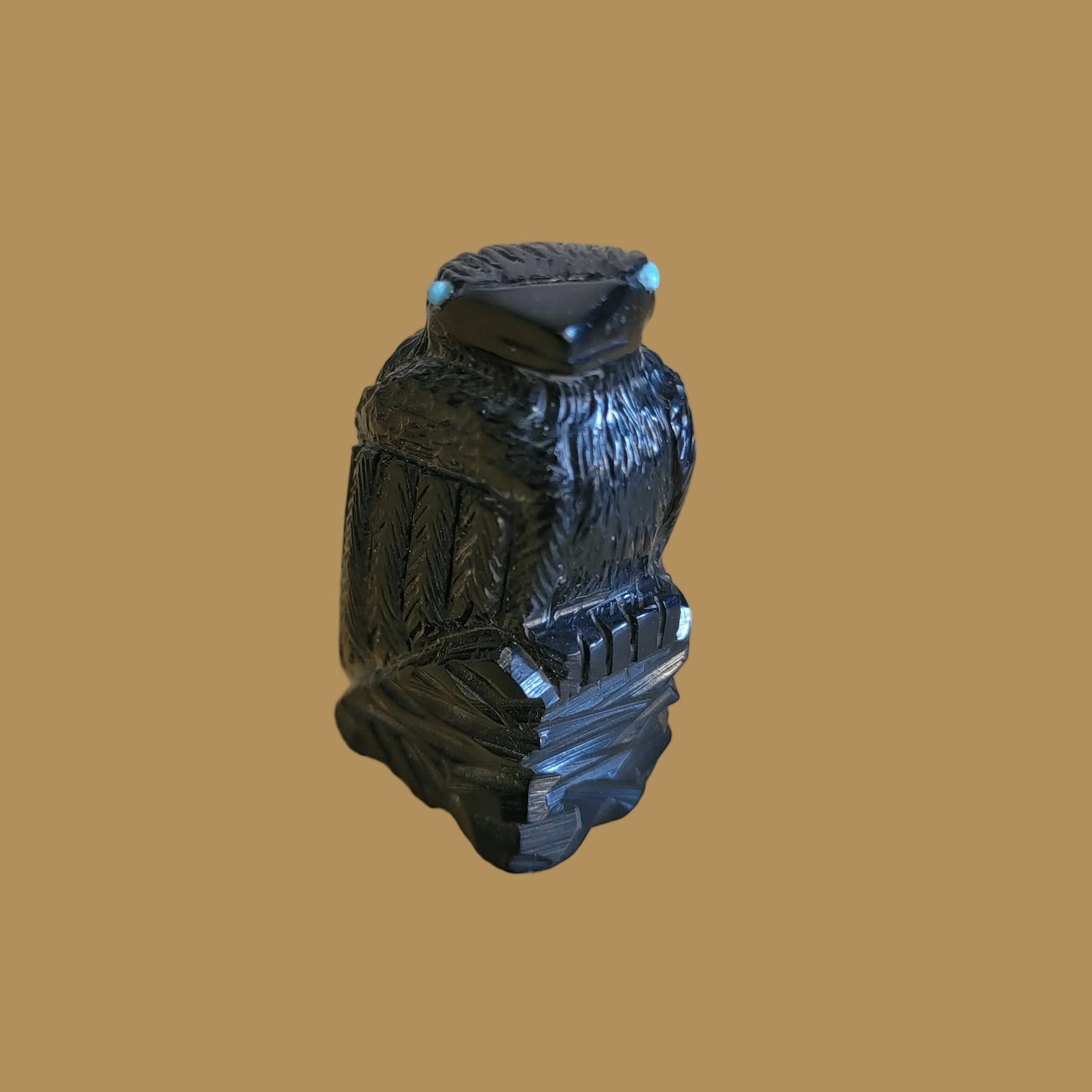 Healing Zuni Fetish Raven