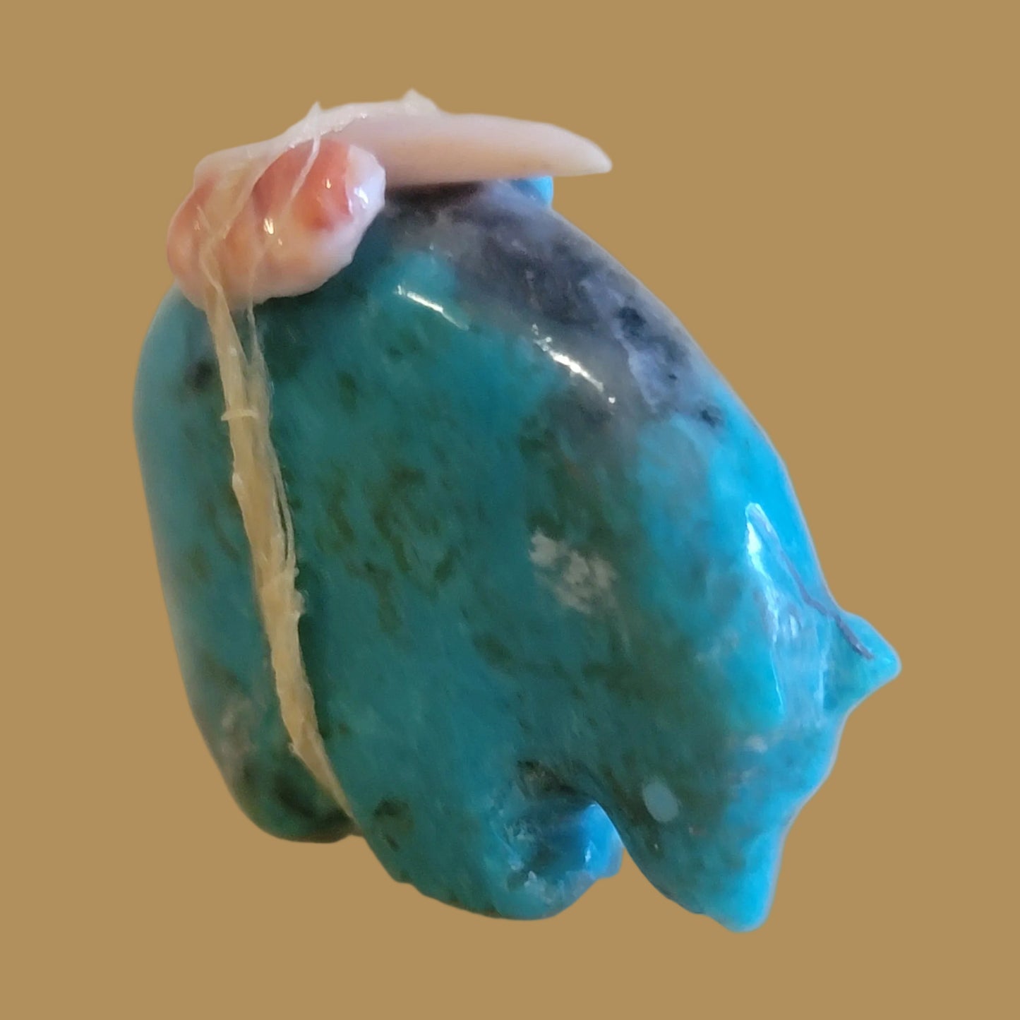Turquoise Medicine Bear w/Pack Zuni Fetish