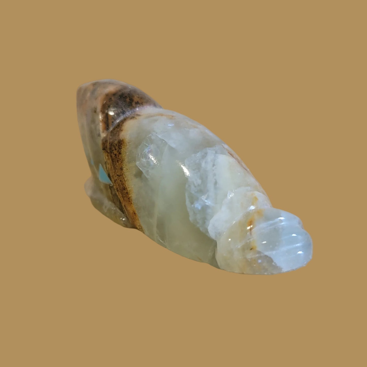 Onyx Seal w/ Heartline Zuni Fetish