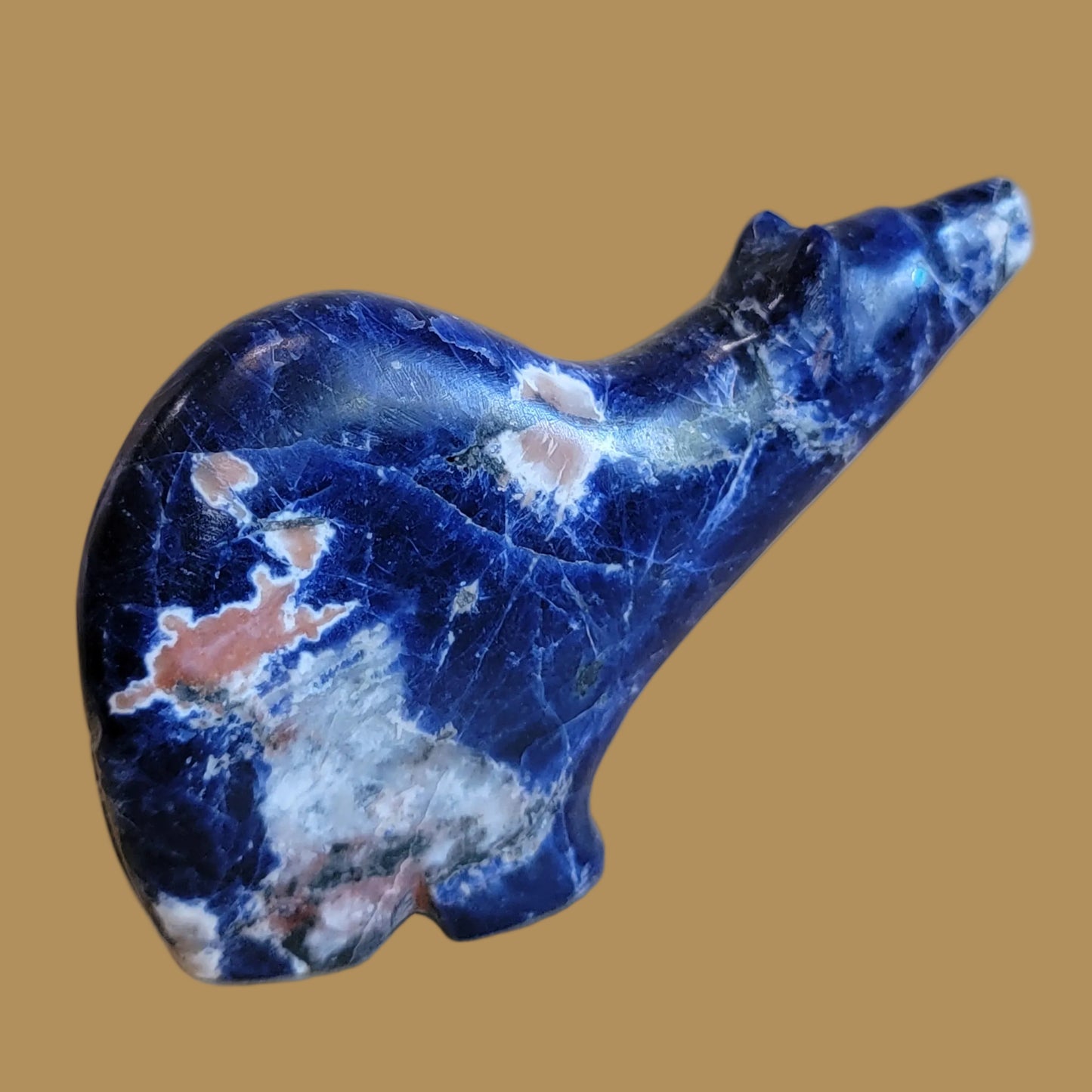 Sunset Sodalite Star Gazing Medicine Bear Zuni Fetish