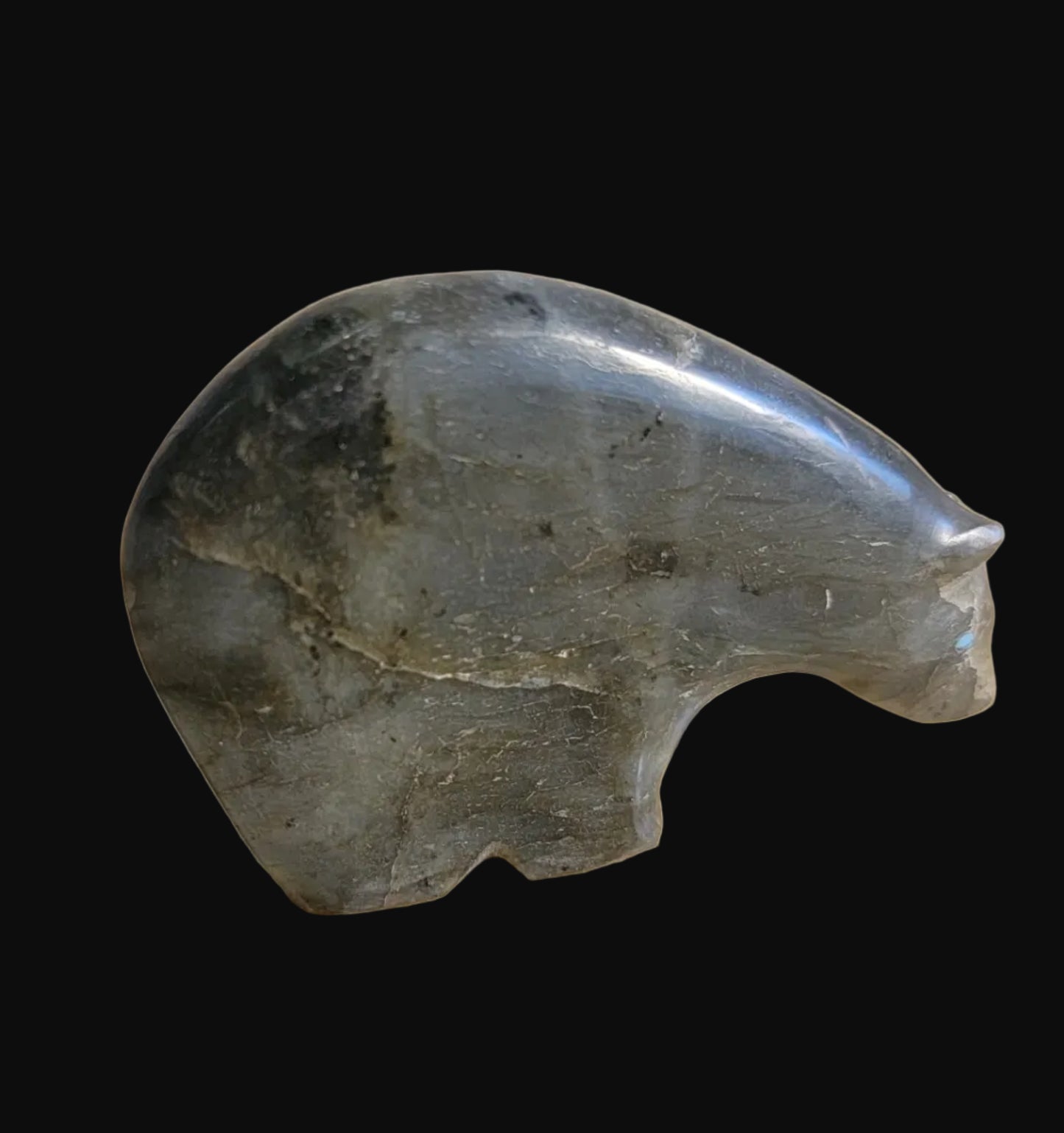 Extraterrestrial Labradorite Medicine Bear Zuni Fetish