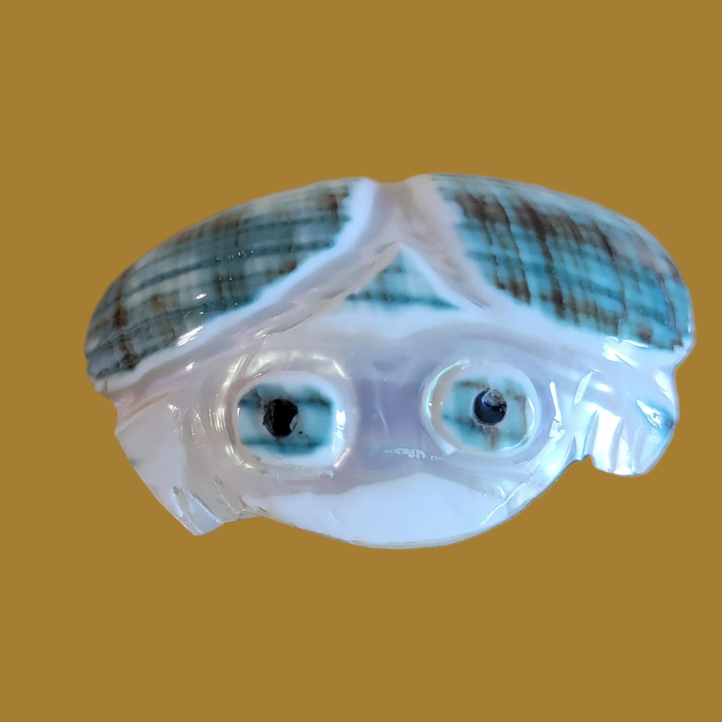 Green Snail Shell Frog/ Toad Zuni Fetish