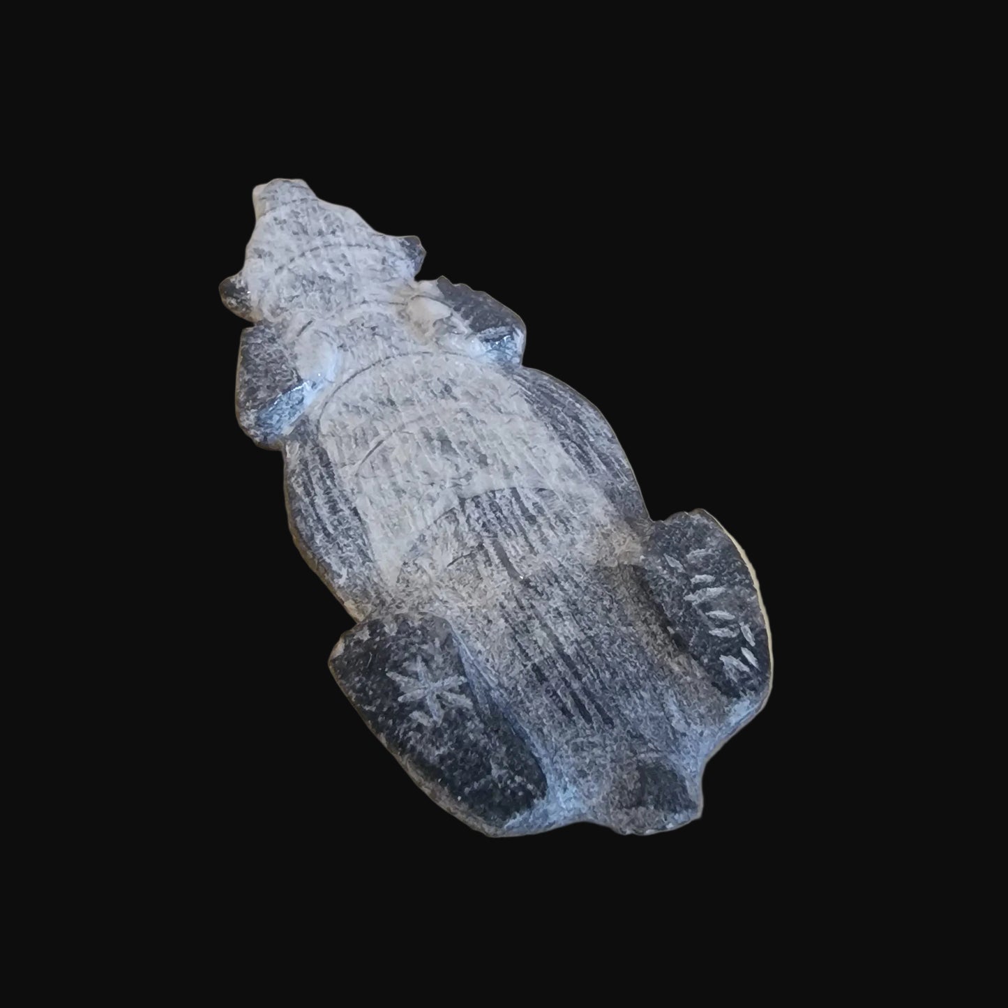 Ammonite Zuni Fetish Badger