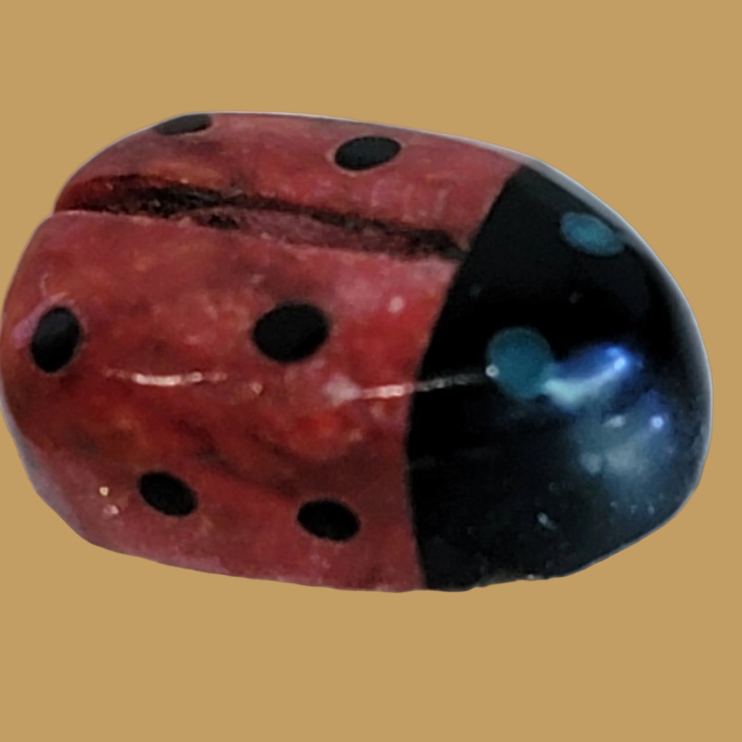 Ladybug on M.O.P. Leaf Zuni Fetish