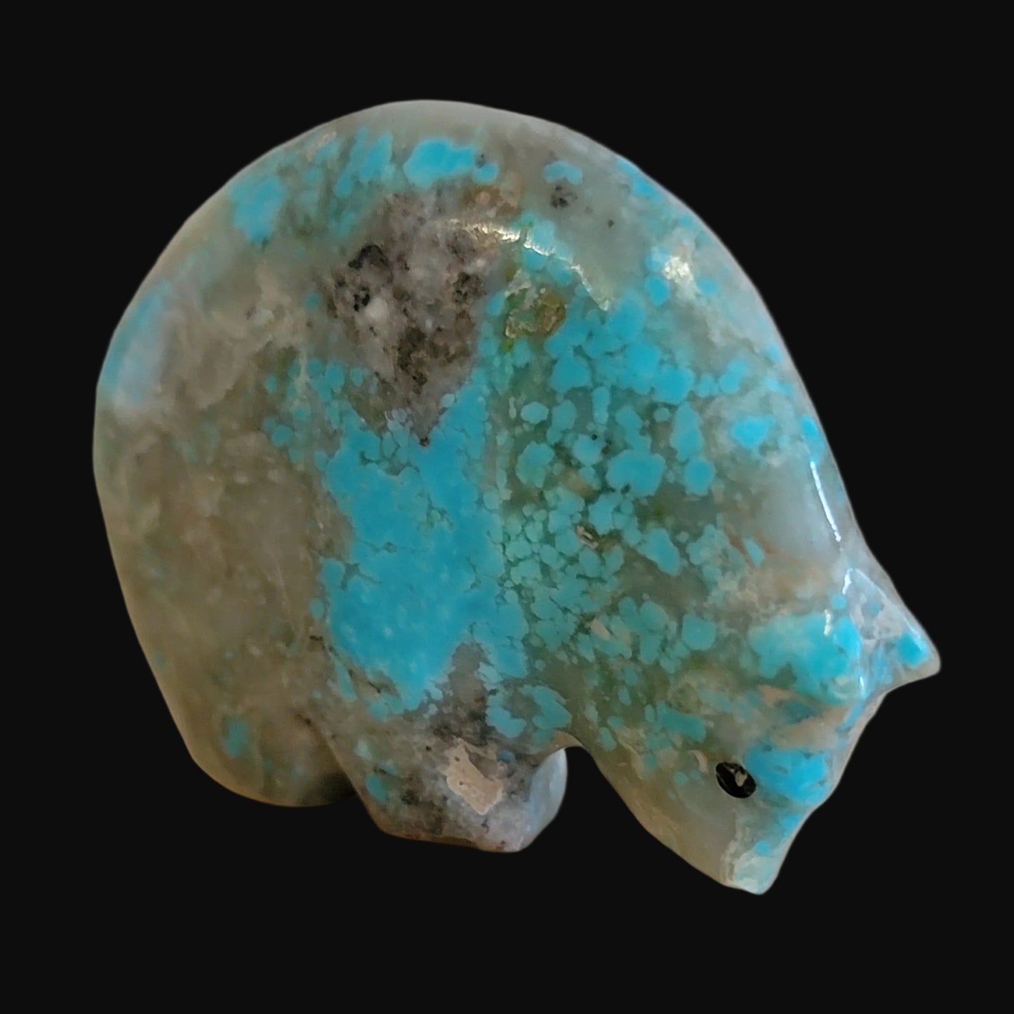 Classy Turquoise Medicine Bear w/ Coral Heartline Zuni Fetish