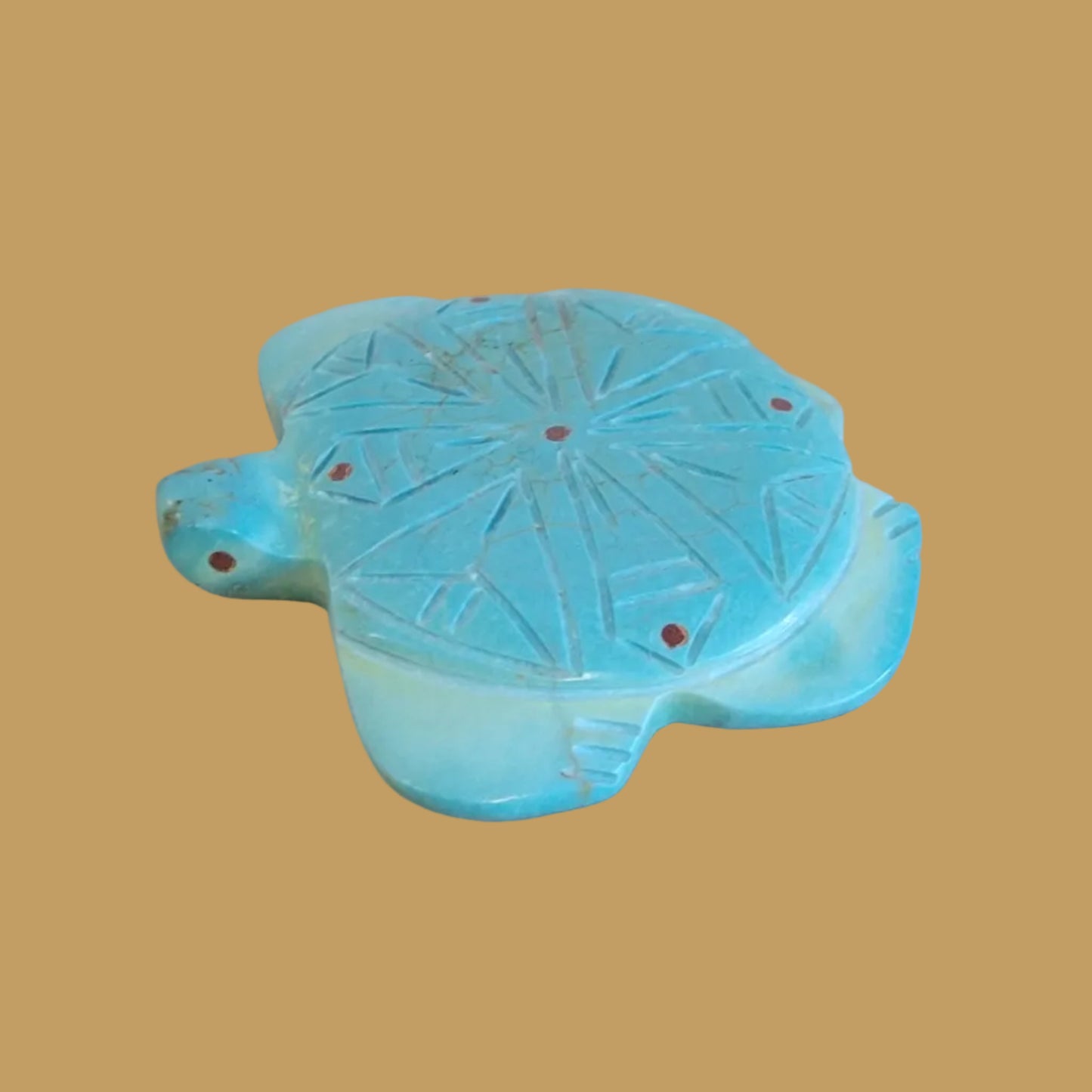 Turquoise Sea Tortoise w/Coral Appointments Zuni Fetish