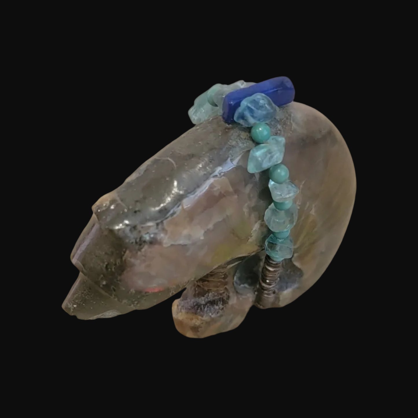 Brilliant Opalized Ammonite Bear w/Beautiful Bundle Zuni Fetish