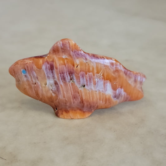 Daphne Quam Orange Spiny Oyster Shell Fish Zuni Fetish