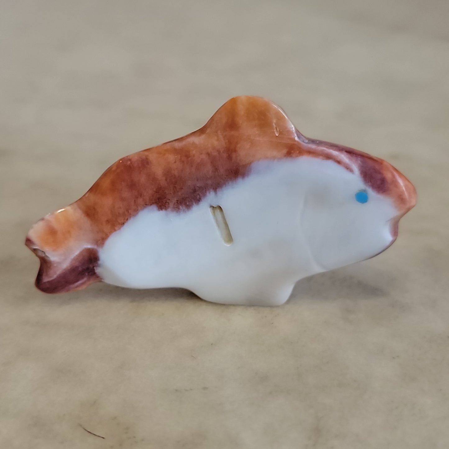 Daphne Quam Orange Spiny Oyster Shell Fish Zuni Fetish